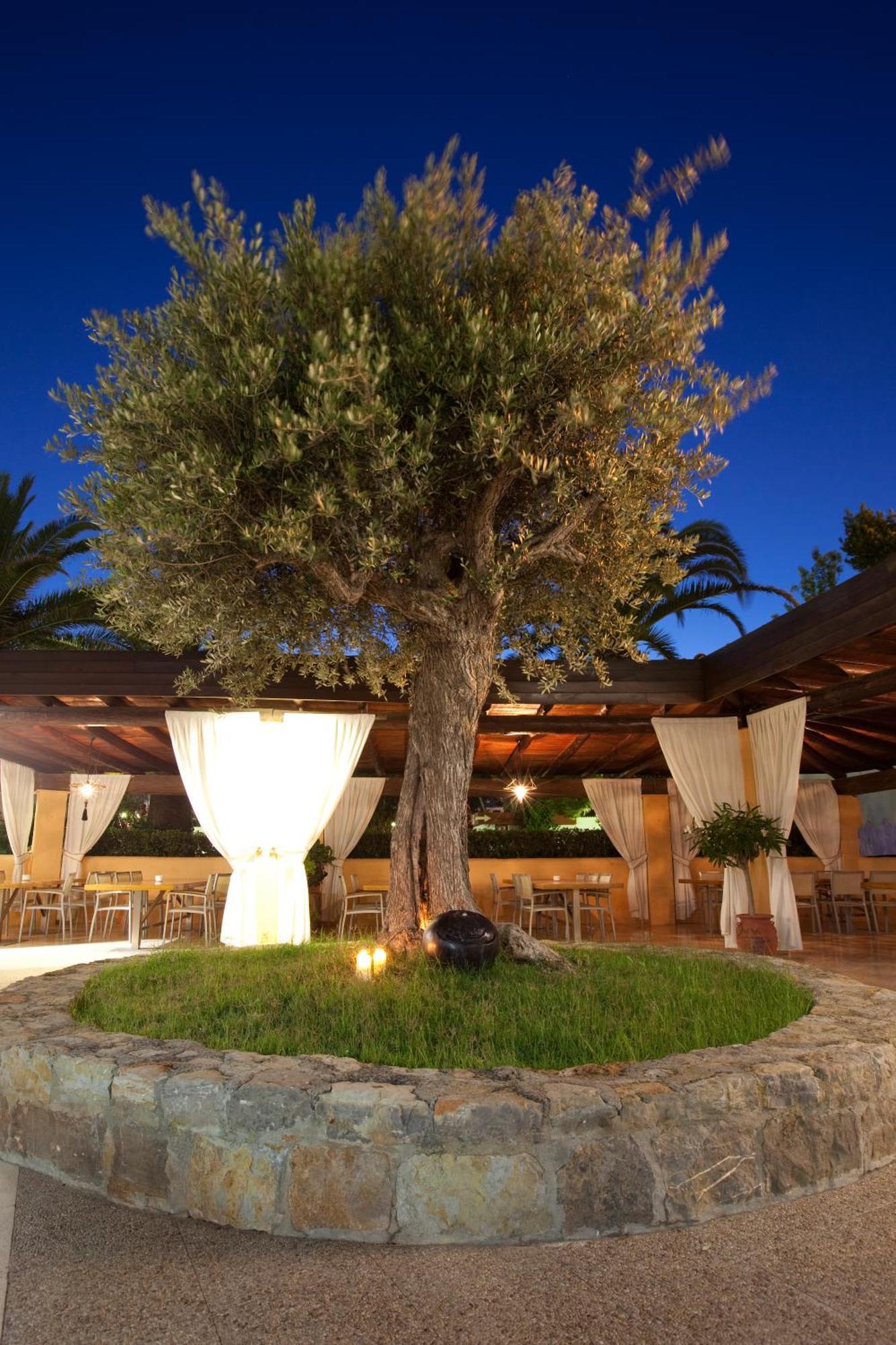 Apartamentos Playa Es Cana מראה חיצוני תמונה